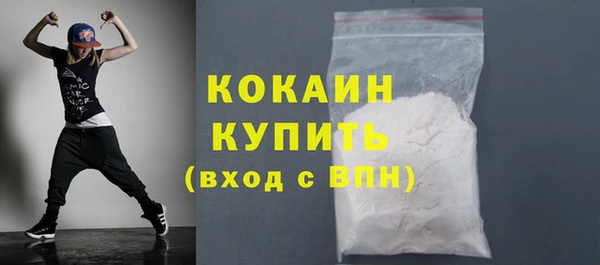 твердый Арсеньев