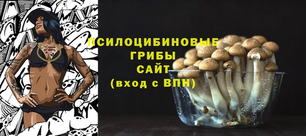твердый Арсеньев