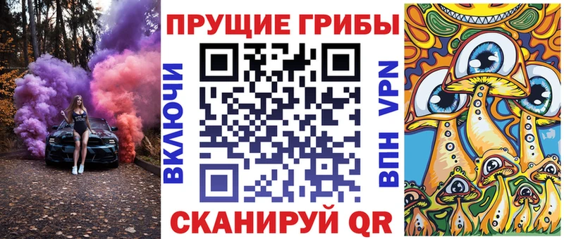 наркошоп  Сясьстрой  Галлюциногенные грибы Magic Shrooms 
